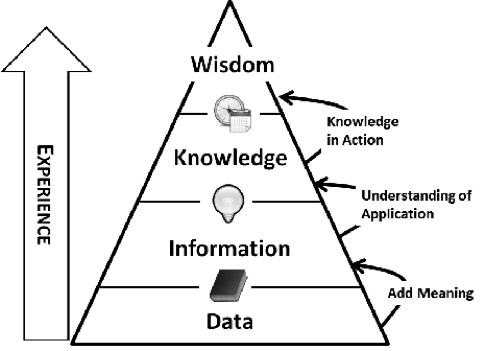 Wisdom/Experience Pyramid