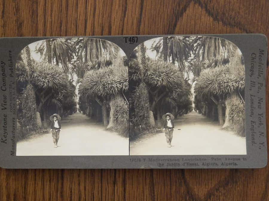 stereograph photo example