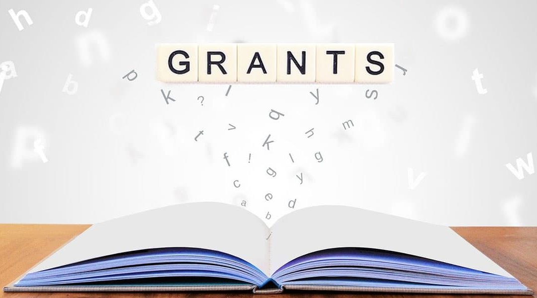 We Invite You to Leverage a New Grant Resource for LAMs