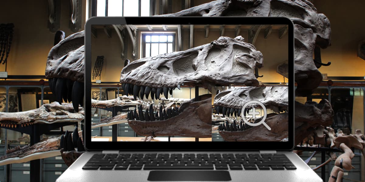 museums, collections management, The Difference Between Museum Digital Programs and Projects