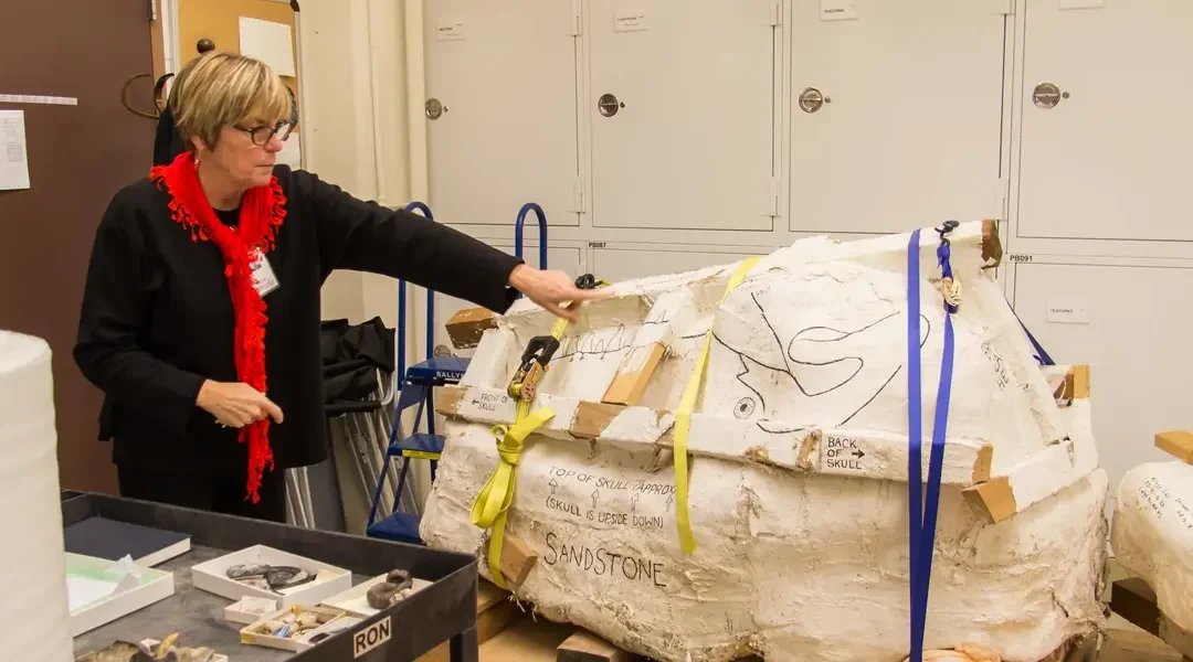 How to Identify Potential Museum CMS Projects for Funding