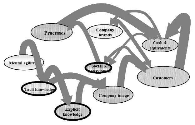 Conceptual map generated by the ICS Navigator process.