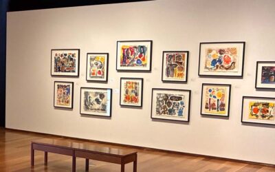 Client Spotlight: MacLaren Art Centre Goes Beyond Collections Care to Access and Growth