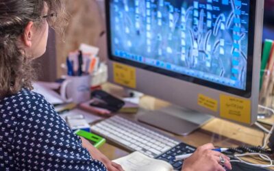 The LEXICON Framework Part 1: Link KM to Daily Workflows