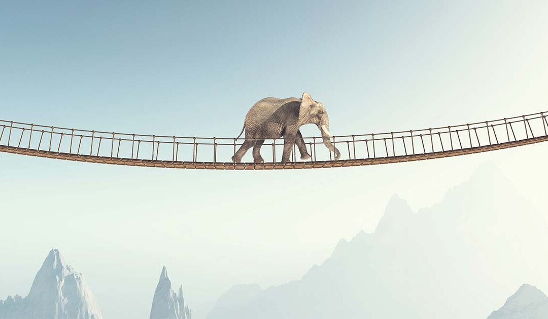 BRIDGE Part 2: Begin Early – Spotting Knowledge Risk Before It’s Too Late