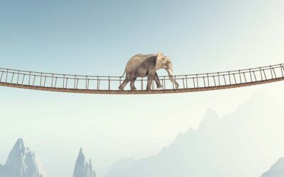 BRIDGE Part 2: Begin Early – Spotting Knowledge Risk Before It’s Too Late