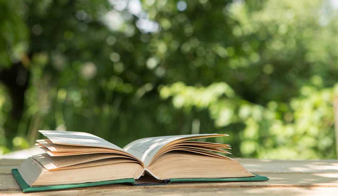 A Librarian’s Summer 2026 Reading List