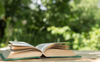 A Librarian’s Summer 2026 Reading List