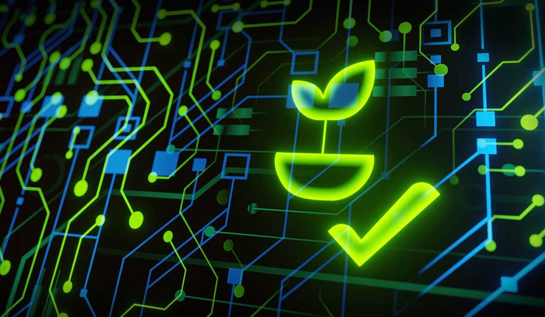 Green Archiving and the Sustainable Steward